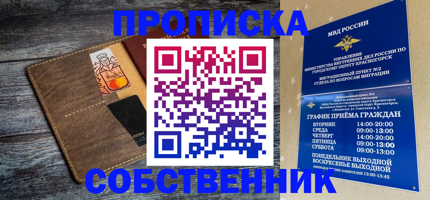 временная регистрация надежно в Камчатской области